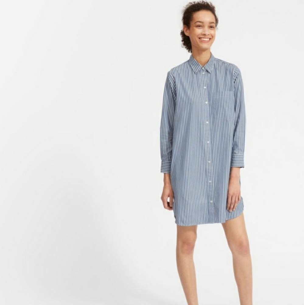 Everlane Striped Shirtdress